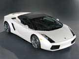 Gallardo spider